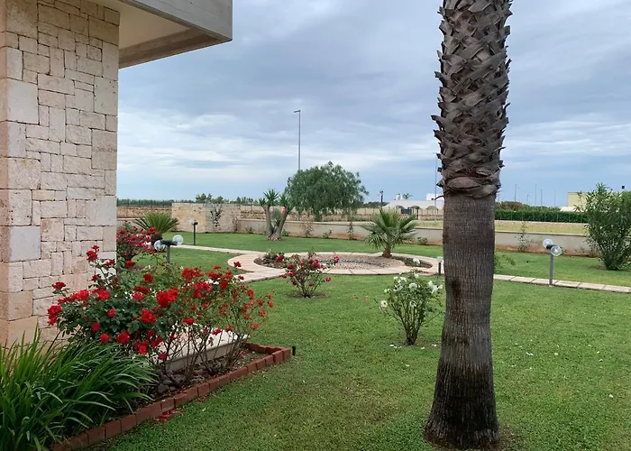 Aurora * 사벨레트리