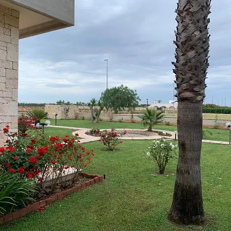 Aurora * 萨维勒特里